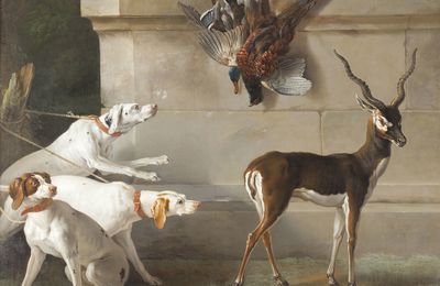 Palace of Versailles hosts the exhibition "The King's Animals"