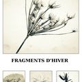 Fragments d'Hiver 