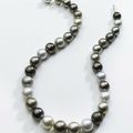 Collier de perles tricolores de Tahiti