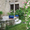 'Yvonne Rabier', une rose ancienne orléanaise, décore un pot placé près des vieilles marches en pierre...