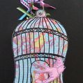album "cage à oiseau rose !"