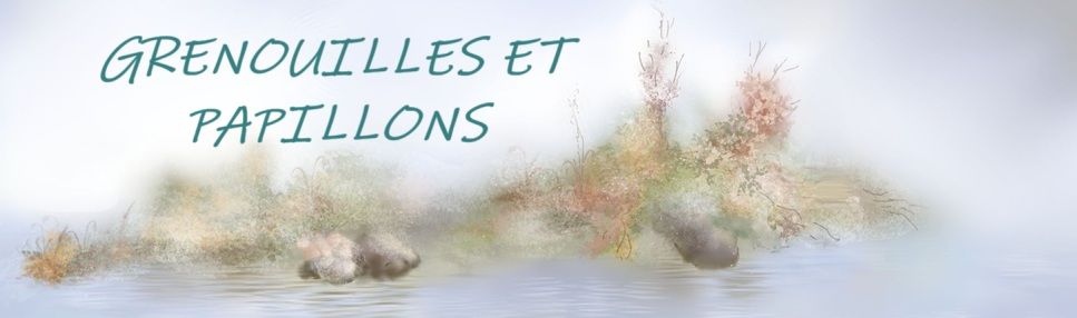 Grenouilles et papillons