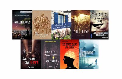 Intelligences, Deux zéros et demi, Enquête aux volets bleus..etc