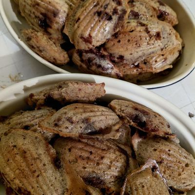 Petite stagnation ... mais le moral y est !