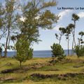 La Réunion: le Sud sauvage