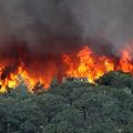 Incendie en Californie