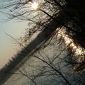Le p''tit lac de LATOUR - 
