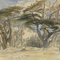 Edward Lear (1812 – 1888), The Cedars of Lebanon