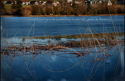 Jeux de symétrie sur le plan de pêche de Remoray