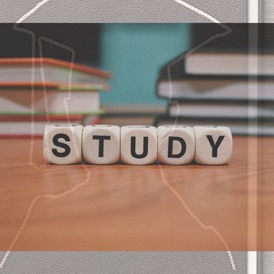 Mon rêve, mes études !