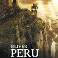 Druide de Oliver PERU - Avis littéraire