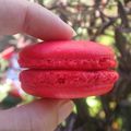 comment j'ai réussi mes macarons 