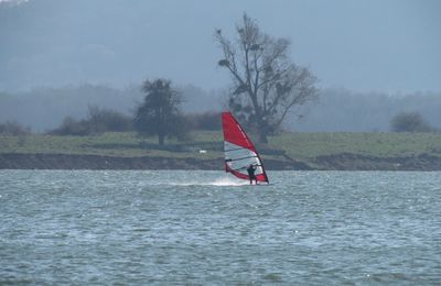 Windsurfeurs et kitesurfeurs au lac de Madine hier samedi