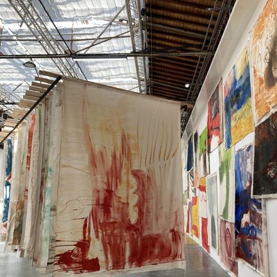 Vivian Suter, Disco - Palais de Tokyo- Paris