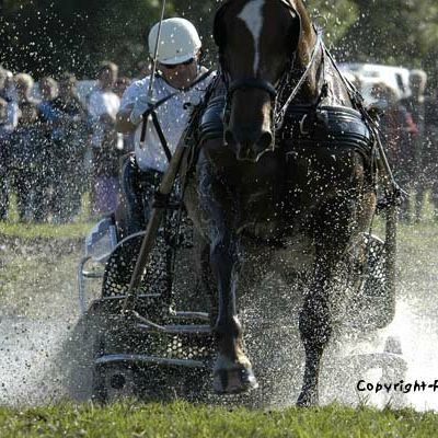 Ecrire est un sport de combat