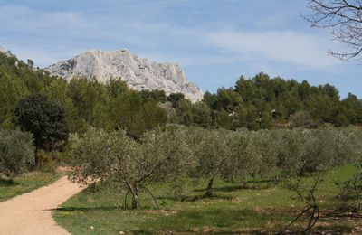 Sur les traces de Cézanne 