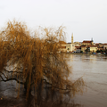 "Les beautés sont des inondations"...