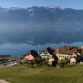 Lavaux, la vigne, le lac, des oiseaux