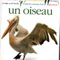 Les oiseaux (fin)