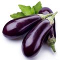 L'aubergine