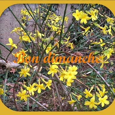 Les ouvrages de ma famille - Réalisations d'Elise