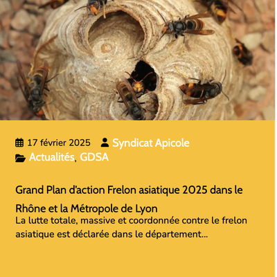 Campagne anti-frelons asiatiques dans le Rhône - Planning des réunions CCVL