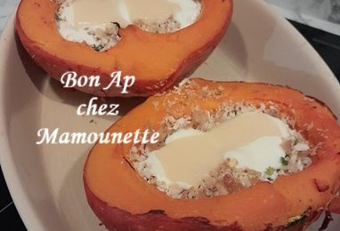 Potimarron farci au blanc de poulet fermier restant, rencontre avec mon ami l'oiseau marin