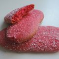 Biscuit rose de Reims