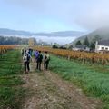 « Vignes et Rhône », balade de Jaco-Rando à Billième