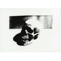 Andy Warhol, Skull
