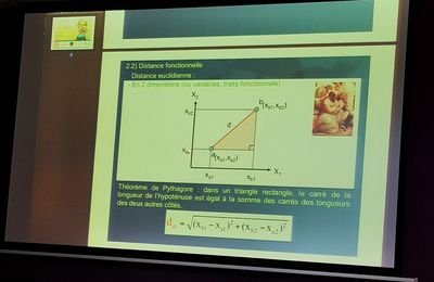 Conférence : Des mathématiques au service de l’écologie