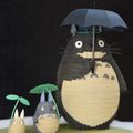 Totoro - So Cute