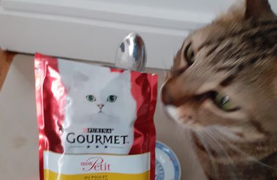Test produit : Aliments pour chat "Gourmet" chez PURINA 3/3 : sachet mon Petit