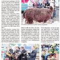 Saint Fiacre 2018 presse havraise