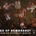Columbus Museum of Art celebrates international partnership with exclusive exhibition from The Netherlands