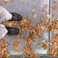 Au début de l'automne, de feuilles tombent