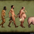 Evolution ?