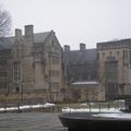 Yale and British Art Museum, New Haven