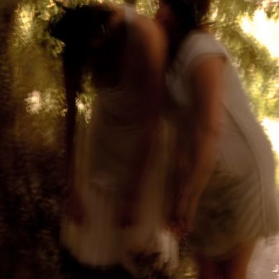 Shadows In The Woods... [Dead]