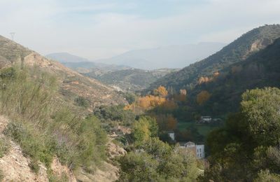 Espagne/Andalousie - Grenade, le Sacromonte