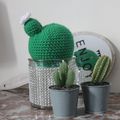 CACTUS AU CROCHET (TUTO INSIDE)