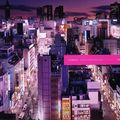 Tôkyô twilight zone : superbe livre de photos sur Tôkyô