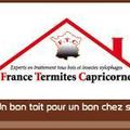 France Termites Capricornes