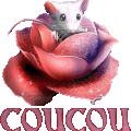 Coucou