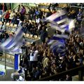 Strasbourg - F - Les fanas