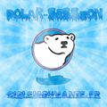 Polar session