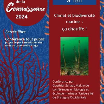 Conférence du 24 avril 2024 Climat et biodiversité marine : ça chauffe !