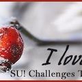 SU Challenges Team #41