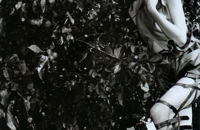 Hyper-realist fairy tale: Myf # 101