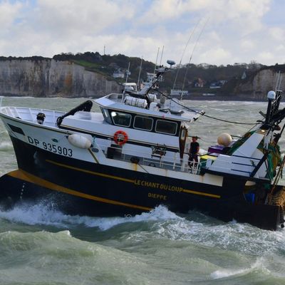 ECHOUAGE DU NAVIRE DE PÊCHE FLXZ « LE CHANT DU LOUP » A L’ENTREE DU PORT DE DIEPPE JEUDI 1er JANVIER 2026